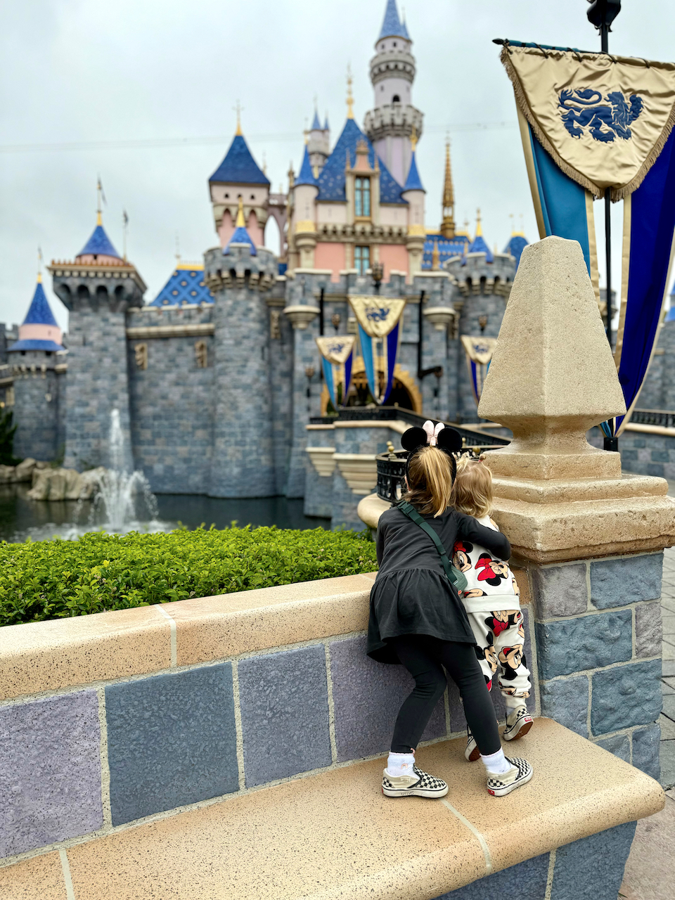 5 Essential Tips for Visiting Disneyland with Small Children: Insights from an SLP and Mom of Two